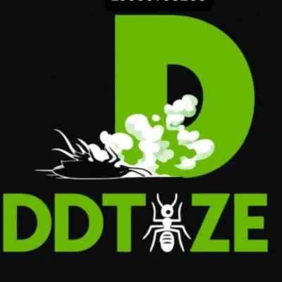 Logo Ddtize